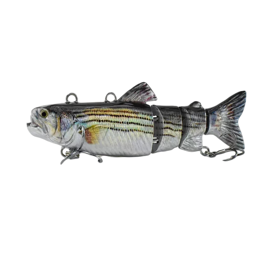 #10/6 Bionic Hard Bait