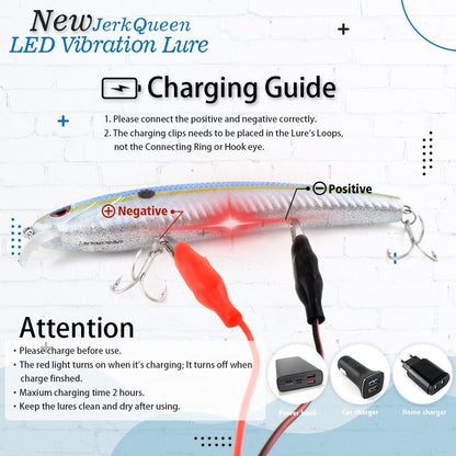#6 New JerkQueen LED Vibration Hard Bait