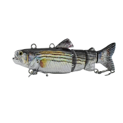 #10/6 Bionic Hard Bait