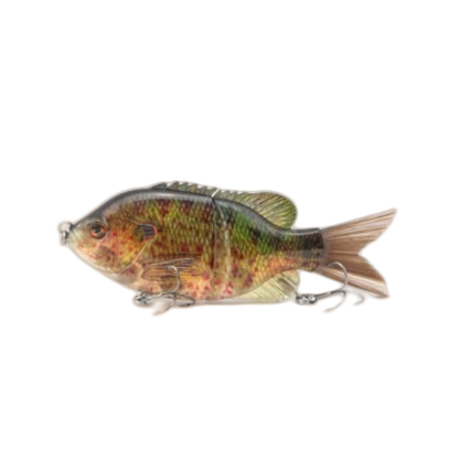 #2 Basic 2 Segment Jointed Warmouth Bait