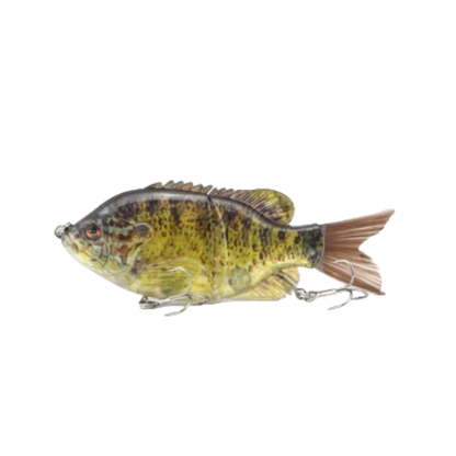 #2 Basic 2 Segment Jointed Warmouth Bait