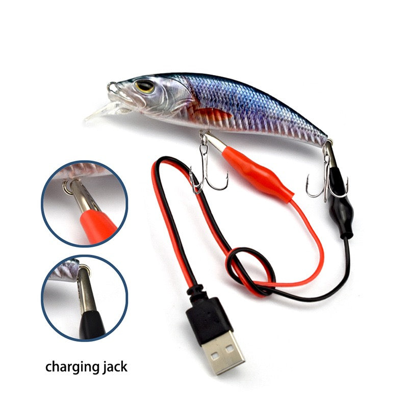 #4 LED Vibrating Hard Bait