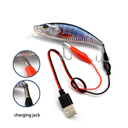#4 LED Vibrating Hard Bait